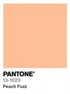 color-ano-2024-pantone-peach-fuzz-13-1023