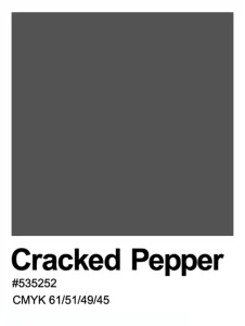 color-tendencia-interiorismo-2024-cracked-pepper-ppu18-01